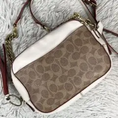 美品 コーチ PVC 2WAY ショルダーバッグ シグネチャー チェーン 茶