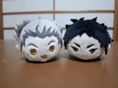 ハイキュー!! 木兎光太郎 赤葦京治 もちマス WA