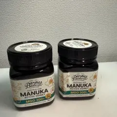 【新品_B品_2個セット】マヌカハチミツ_MGO300+250g_オーストラリアのサムネイル