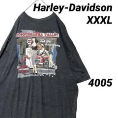 ハーレーダビッドソン 3XL Tシャツ グレー 両面プリント ゆるだぼ バイク