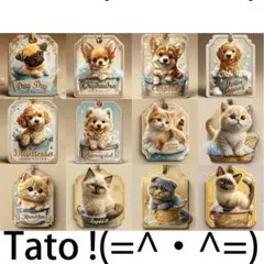 Tato !(=^・^=)パネル生地 犬、猫のシャンプータイム D4