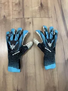 エレボス デストロイキーパーグローブ サイズ9