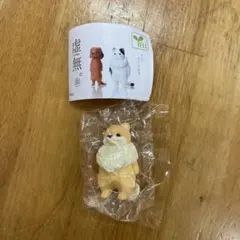 虚無。参 ポメラニアン　カプセルトイ ガチャガチャ