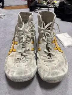 asics Tiger ファブレジャパンL 25.0三井寿 廃盤TBF707 - メルカリ