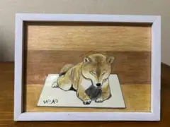柴犬の色鉛筆画　フレーム付き