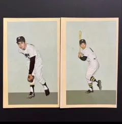 激レア】プロ野球物知りカード 阪神タイガース 江夏豊 田淵幸一 - メルカリ
