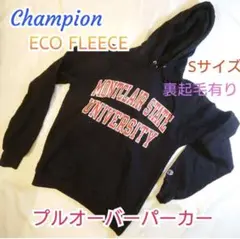 【ヴィンテージ古着】Champion ECO FLEECE プルオーバーパーカー