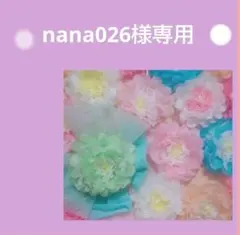 nana026様専用