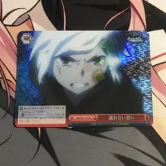 ヴァイスシュヴァルツ