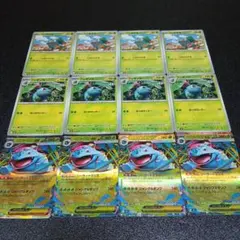 ポケモンカード　メガフシギバナex　進化ライン