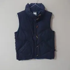 2026年最新】パタゴニア ダウンベスト ストライプの人気アイテム