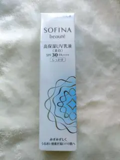 Item thumbnail for item e1f355df-a79a-4064-a150-ce4e7ebc9db9