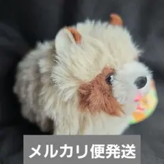 たぬぽんぽん ぬいぐるみ マスコット LMC タヌオ 1個