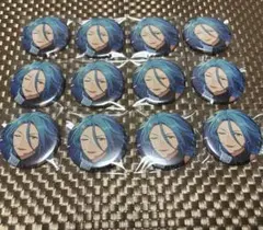 あんスタ　コレクション缶バッジNov.i HiMERU 12点セット