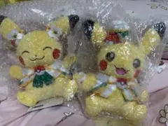 ポケパーク カントー ピカチュウ ぬいぐるみ 2体セット ポケパークカントー ぬいぐるみマスコット ピカチュウ イーブイ 2体
