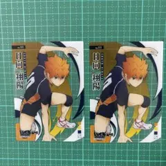 ハイキュー!! 日向翔陽 トレカ トレーディングカード