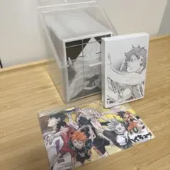 おまけ付き ハイキュー 10thクロニクル 全種 思い出スナップ フォトカード