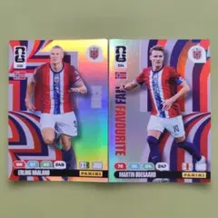 PANINI 노르웨이 대표 트레이딩 카드 8장 할랜드