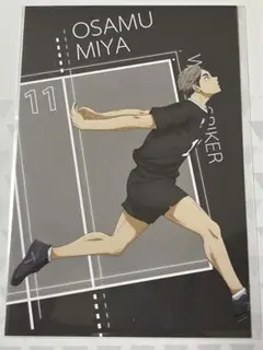 宮侑　ポストカード