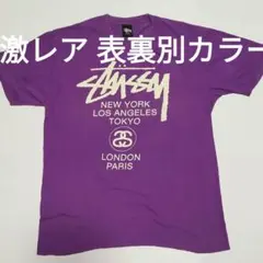 激レア 表裏別カラー STUSSYワールドツアー