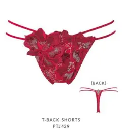 Item thumbnail for item 6050db95-e7e1-4db4-b851-52bca16d677e