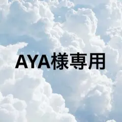 AYA様専用ページ