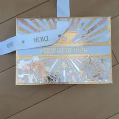 Christian Dior 紙袋期間限定モデル