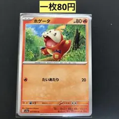 ホゲータ P スカーレット&バイオレットプロモカードパック ポケカの夏がキタ！… ホゲータ P スカーレット&バイオレットプロモカードパック ポケカの夏