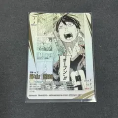 バボカ　影山飛雄　頂P