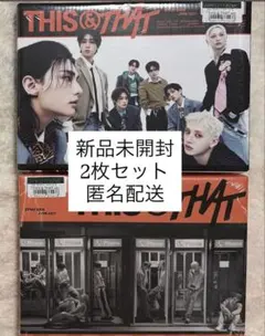 【新品未開封】Stray Kids THIS & THAT 通常盤　2種セット