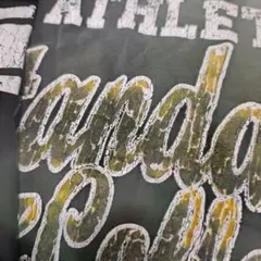 両面プリントTシャツ/140