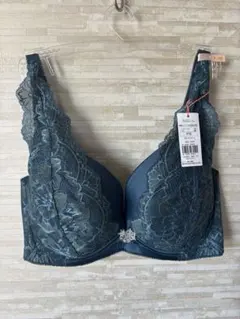 F75」トリンプ チャーミングラマー スリムラインDeepV 雪の女王ブラジャー