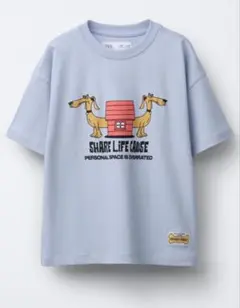 新品未使用⭐︎ZARAキッズ　Tシャツ　13-14y 164㎝