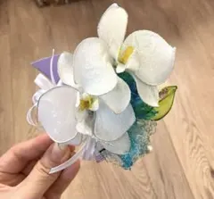 Item thumbnail for item 607c6196-3b51-49c8-8c0e-757e285aea00