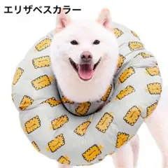 Item thumbnail for item 5c9bc68c-2bba-421a-89b5-5a2301f1e59e