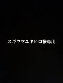 スギヤマユキヒロ様専用