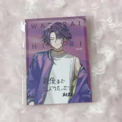 VOLTACTION ヴォルタ アイシャドウ カード 特典 渡会 雲雀