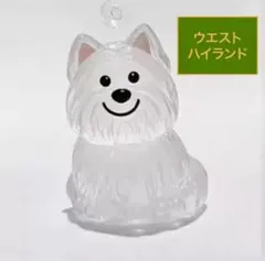 Item thumbnail for item 1d2a4e0b-e8ea-4ecc-939c-f0928c2795ee