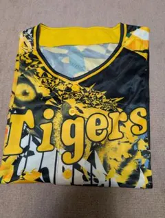 Item thumbnail for item 09ea2fcd-adf1-4df5-8efb-e04e7b6a5d66