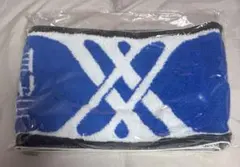 三代目JSB 2010▶︎2020 マフラータオル