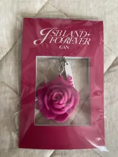 JSB LAND FOREVER ローズ キーホルダー 岩田剛典/GANのサムネイル