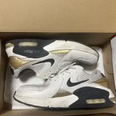 【6/16まで特価】NIKE ナイキ エア マックス エクシー 25cm