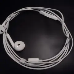 Apple EarPods 有線イヤホン 本体