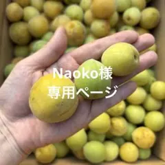 Naoko様専用ページ 【クール便】