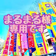 まるまる様 専用です✩.*˚