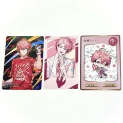 【匿名配送】 赤城ウェン 2点セット