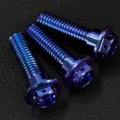 64チタン M8×30mm 15本 ブレーキ ディスク ボルト Ni m1367 64チタン M8×30mm 4本 ブレーキ ディスク ボルト Nin m1469 - メルカリ