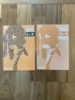 2026年最新】四谷大塚 予習シリーズの人気アイテム - メルカリ