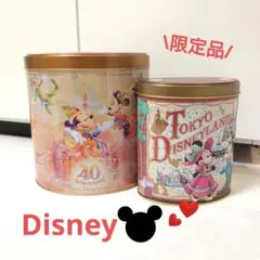 ディズニー40周年限定缶 空き缶 美品（レトロ）TDL限定 ミッキー＆ミニー空缶