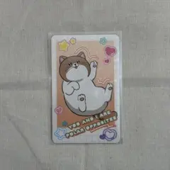 2026年最新】正反対な君と僕 てんぷらの人気アイテム - メルカリ